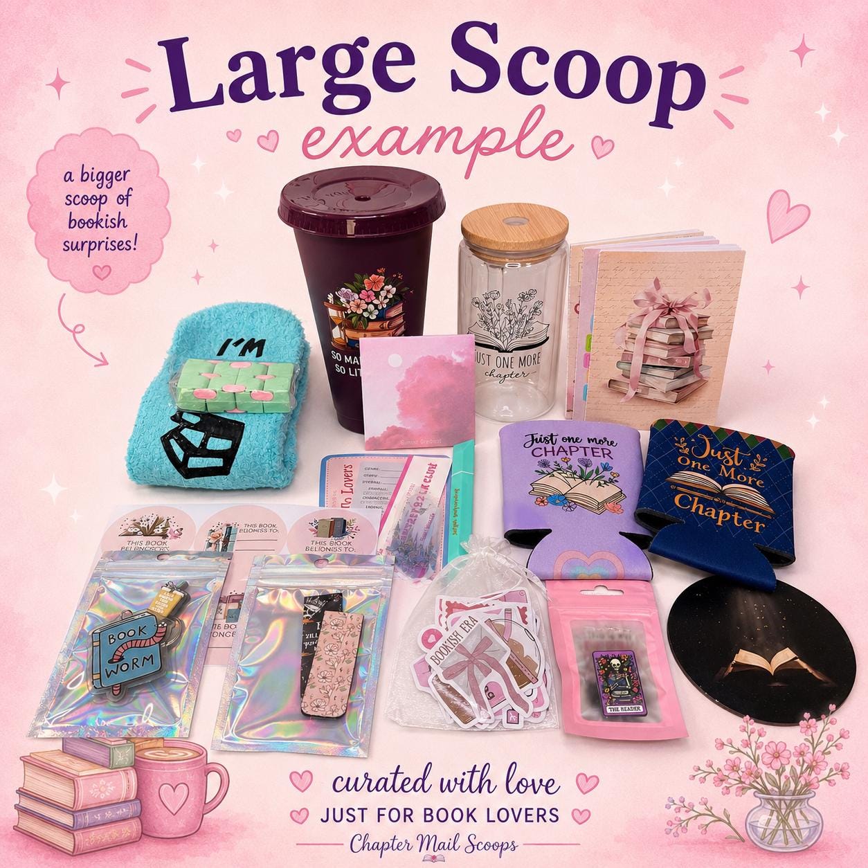 Large Bookish Mystery Scoop